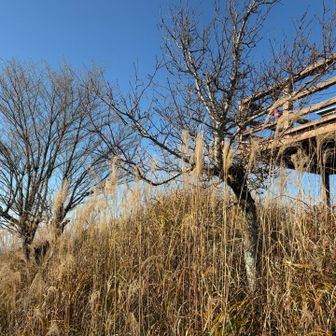 ティータイムは後回しで下山開始