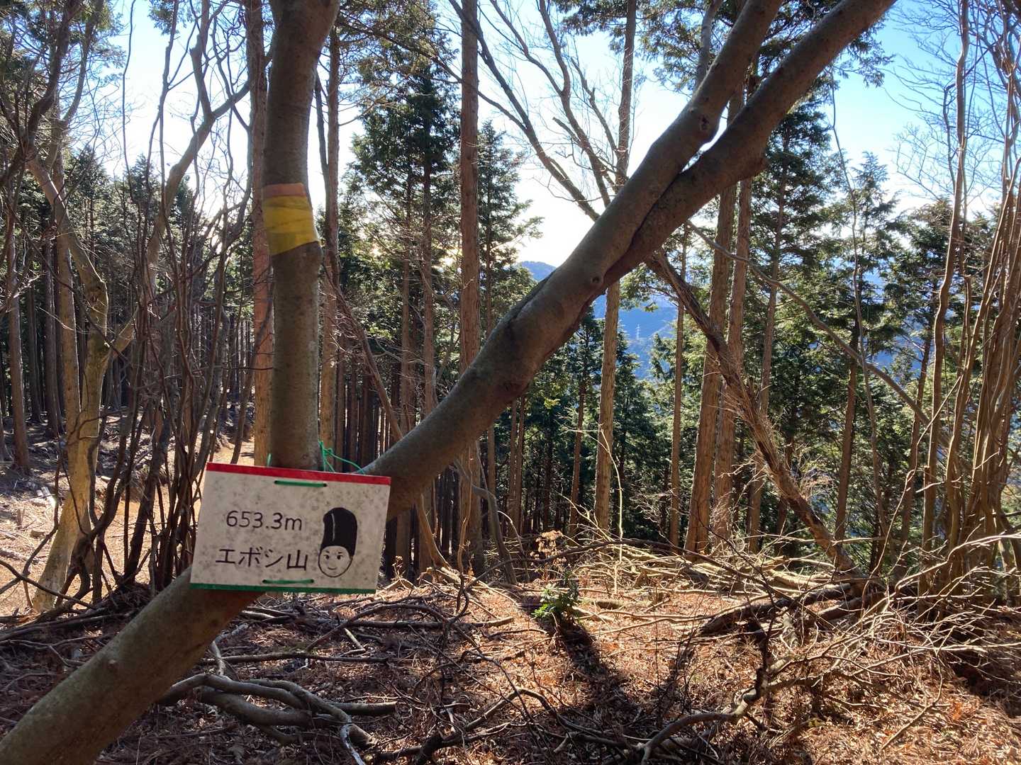 エボシ山の山頂へ到着❗️
　1座ゲット出来ました🤗