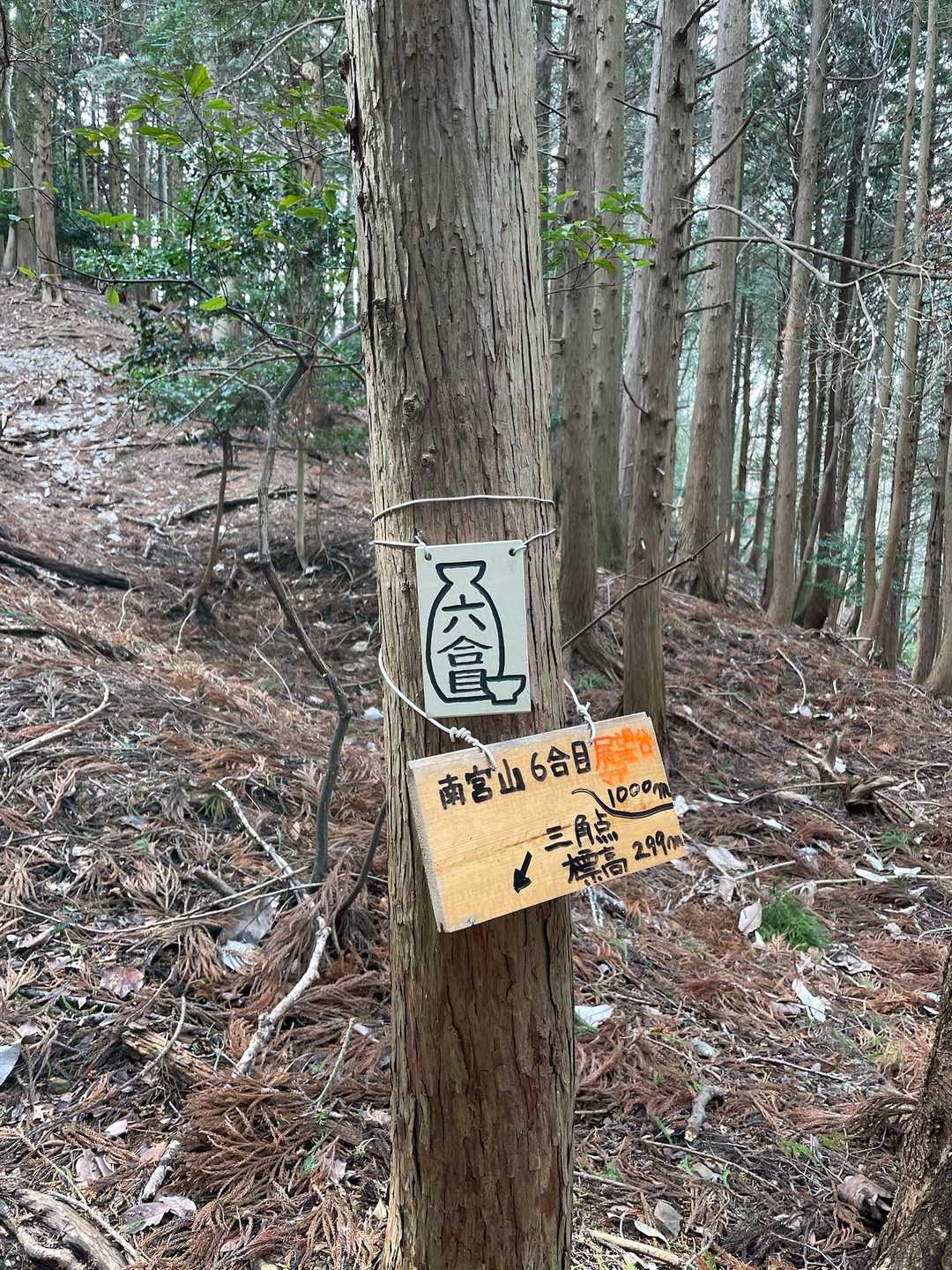 南宮大社-南宮山展望所 往復コースの写真