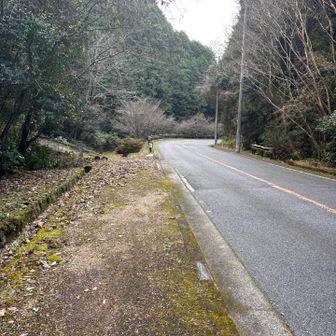 また車道歩き⁉️