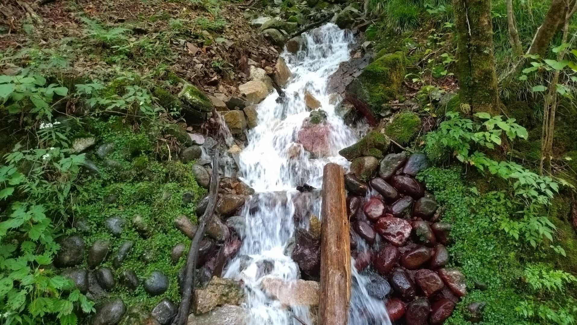 三ノ谷登山口-小秀山 往復コースの写真