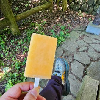 山の中で食べるアイス最高🥰

今年は自分でアイスを持参しよう😁