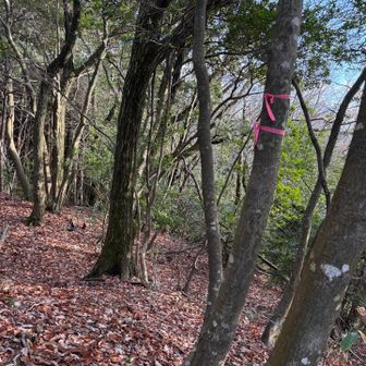 木落山の山札🎴🌀🌀探す🔎
無いけど　先行者　ピンテ🎀有難う！