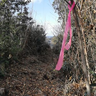 山頂から先に行ける道があり、ピンテがあるので行ってみる