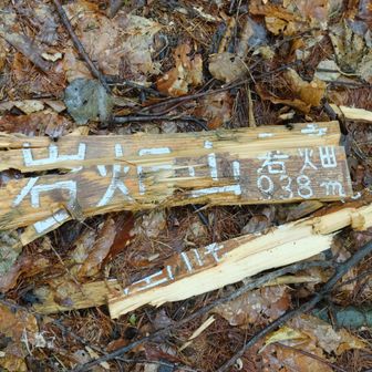 標識３
散らばっているのを集めた