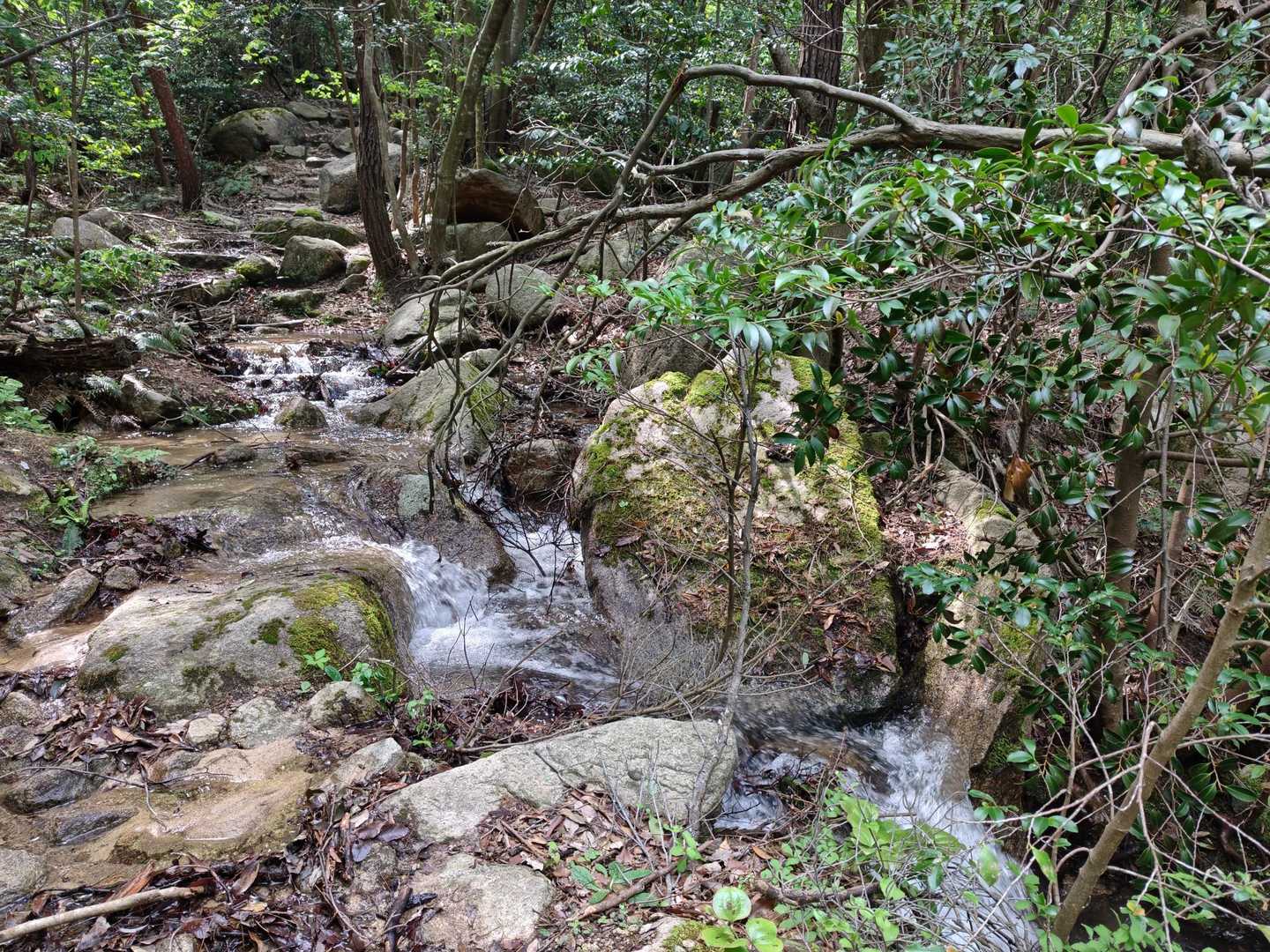 蠑螺ヶ岳登山口-蠑螺が岳 往復コースの写真