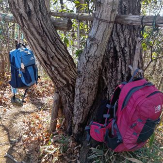 こんぴら山、ザック掛けある。