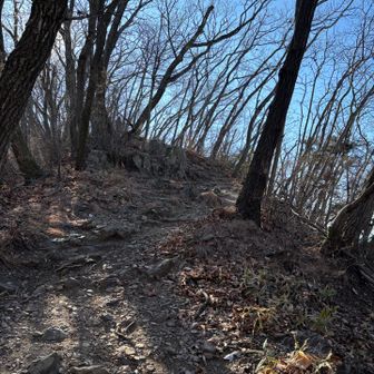 明るい尾根をあるきます。
最初のピークは。？