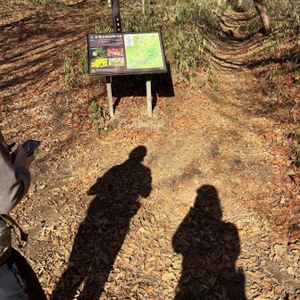 やっと折り返し