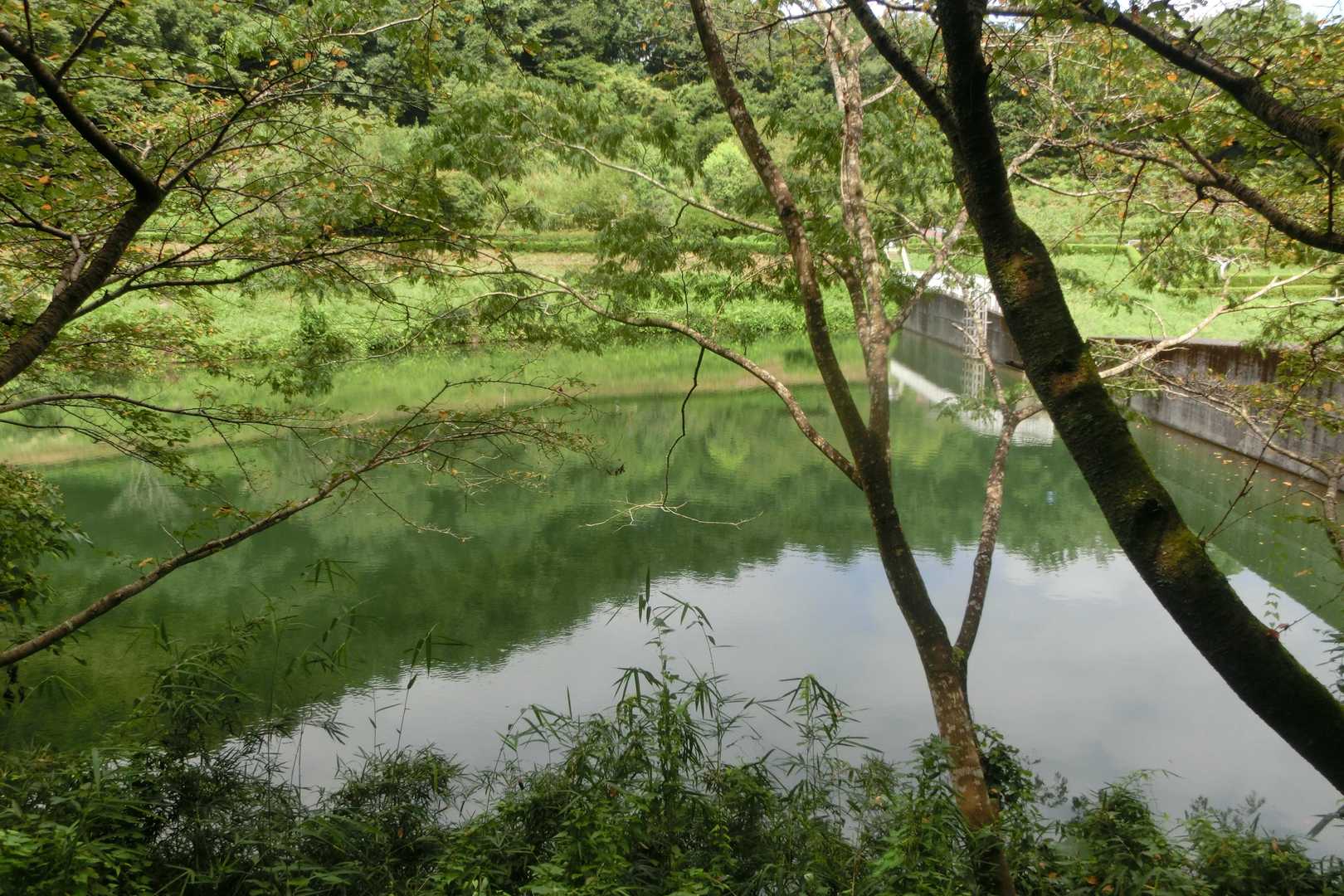 雷電山 往復コースの写真