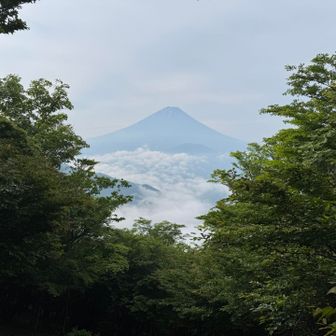 山頂から富士山が見えた‼️
想定外の好天👍
大室山も見えて、子抱き富士👍