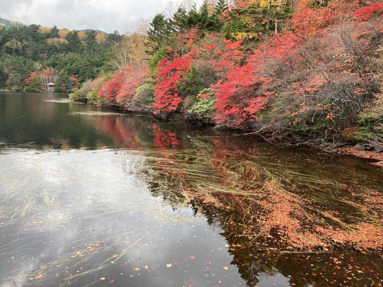 湖面に映る紅葉。
