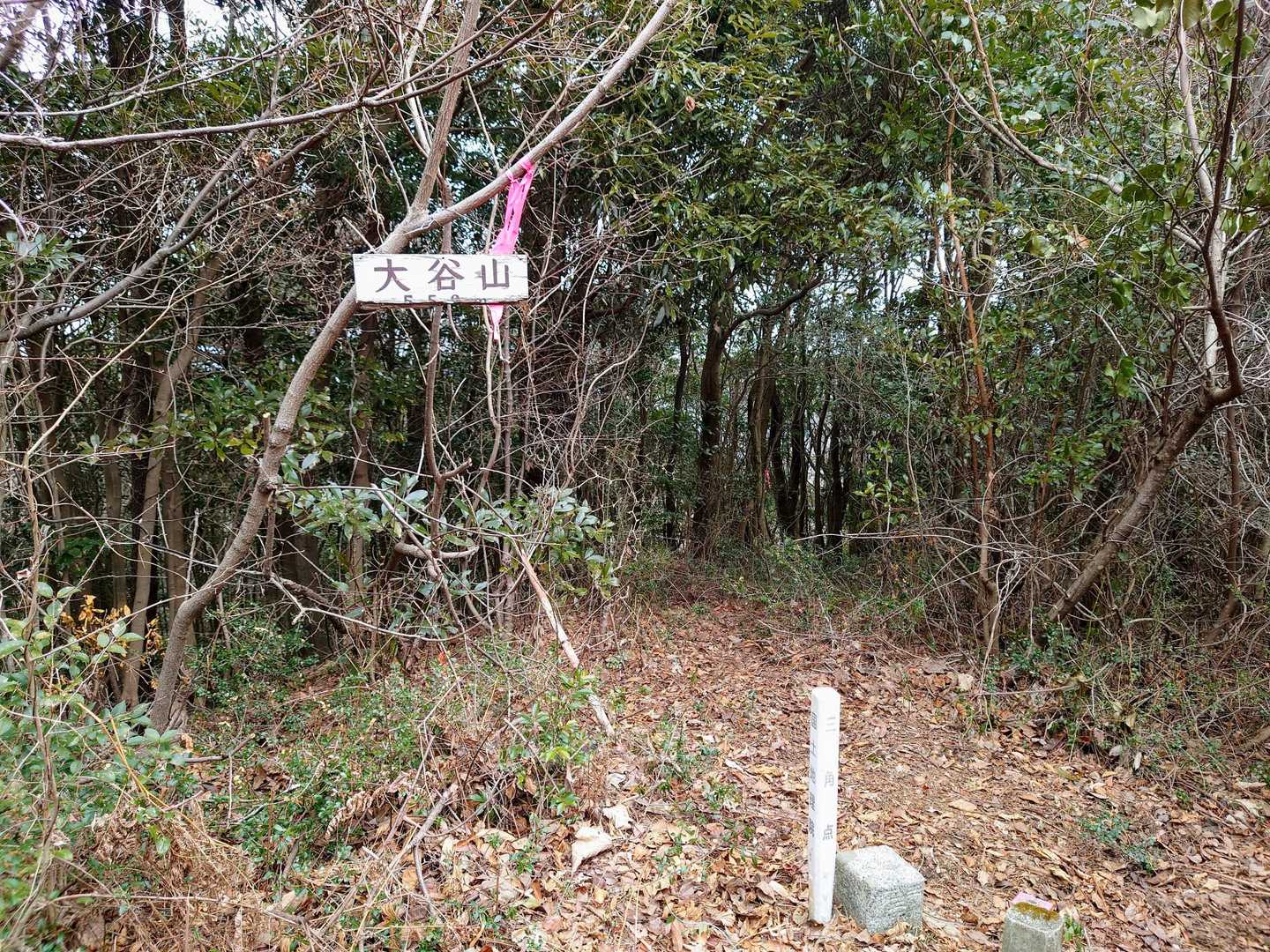 オオタニサン山頂✨
その①