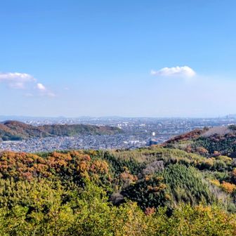 これも(≧∇≦)b