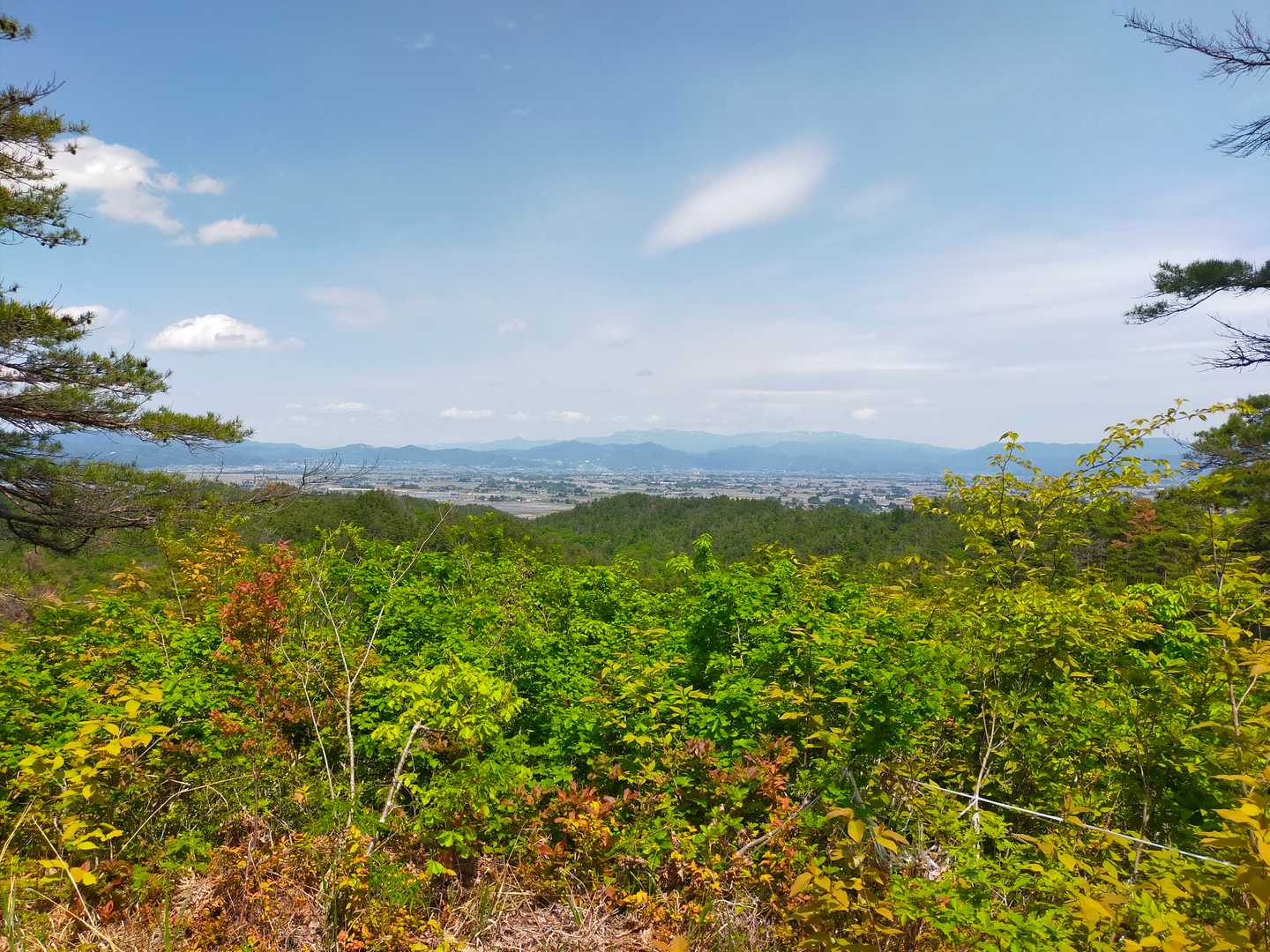 高戸屋山 周回コースの写真