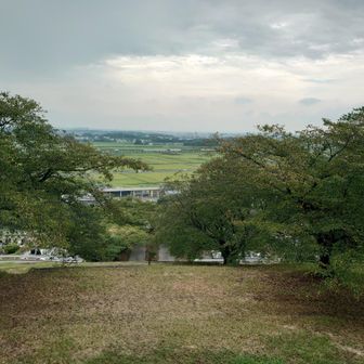 山頂からの眺望。
