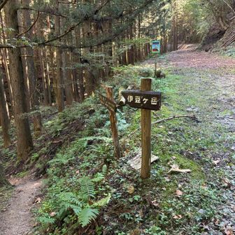 本日のトラップ🪤
右は不正解。YAMAPの地図上の写真とコメントがなかったら詰んでた。