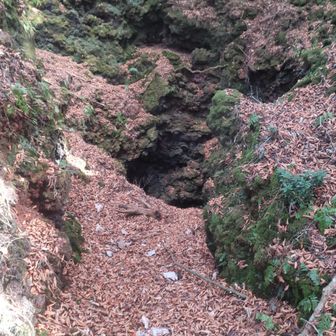 中がよく見えない