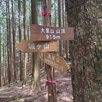 大栗山