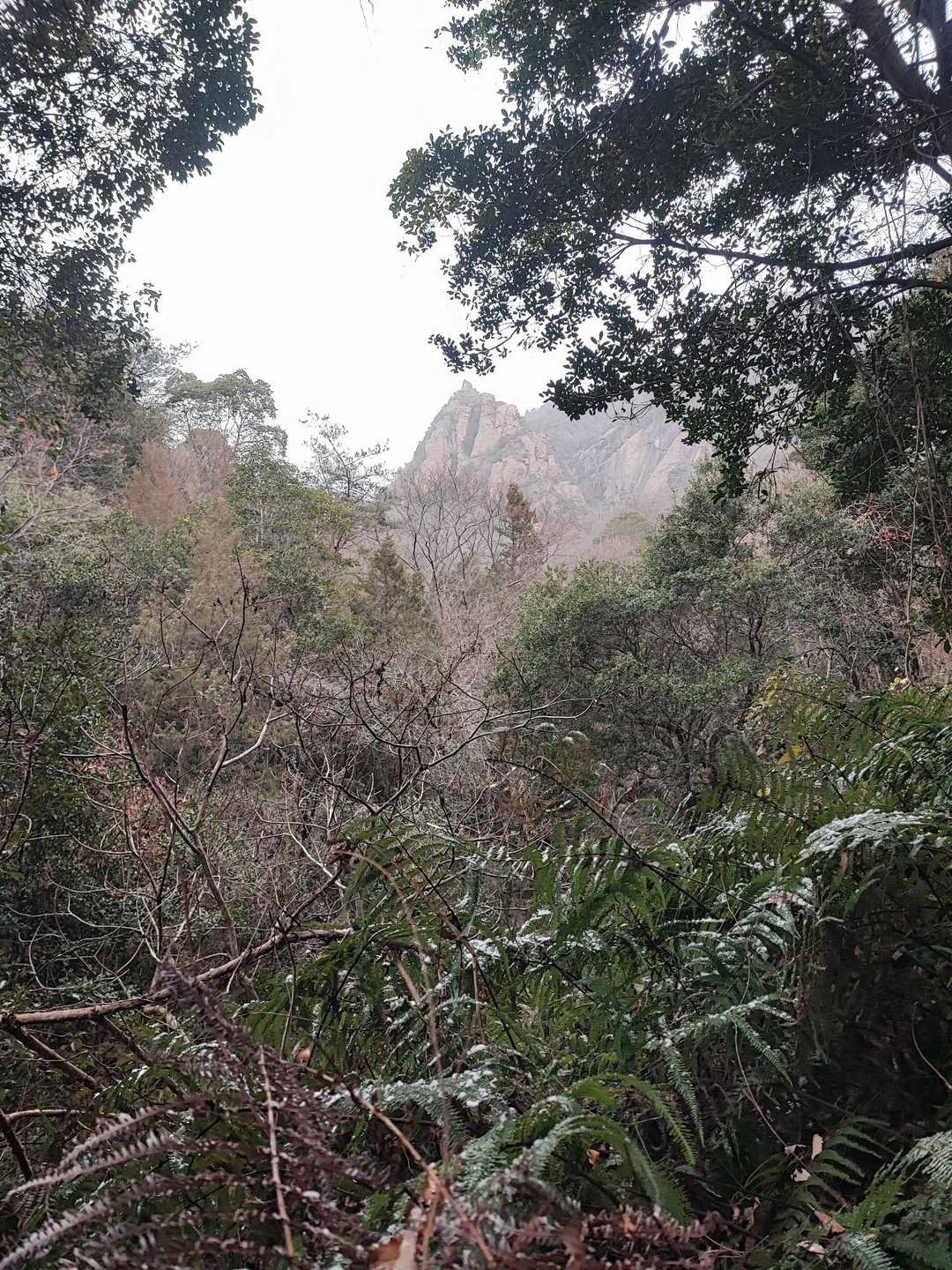 山肌かっこよすぎ