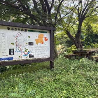懐かしい。