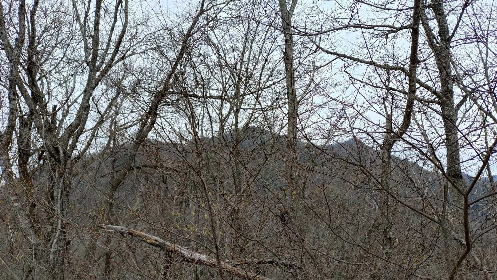 真ん中に見えるのが杓子山👍
