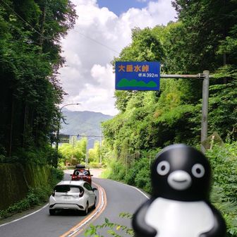 国道20号に出たよ。
暑い暑い💦早く樹林に逃げ込まなきゃ💦
