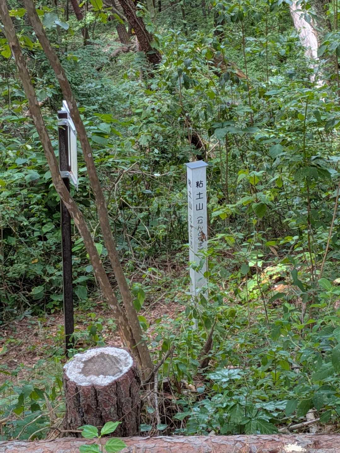 粘土山
ちょっと低い位置にあり
うっかり通り過ぎるところでした