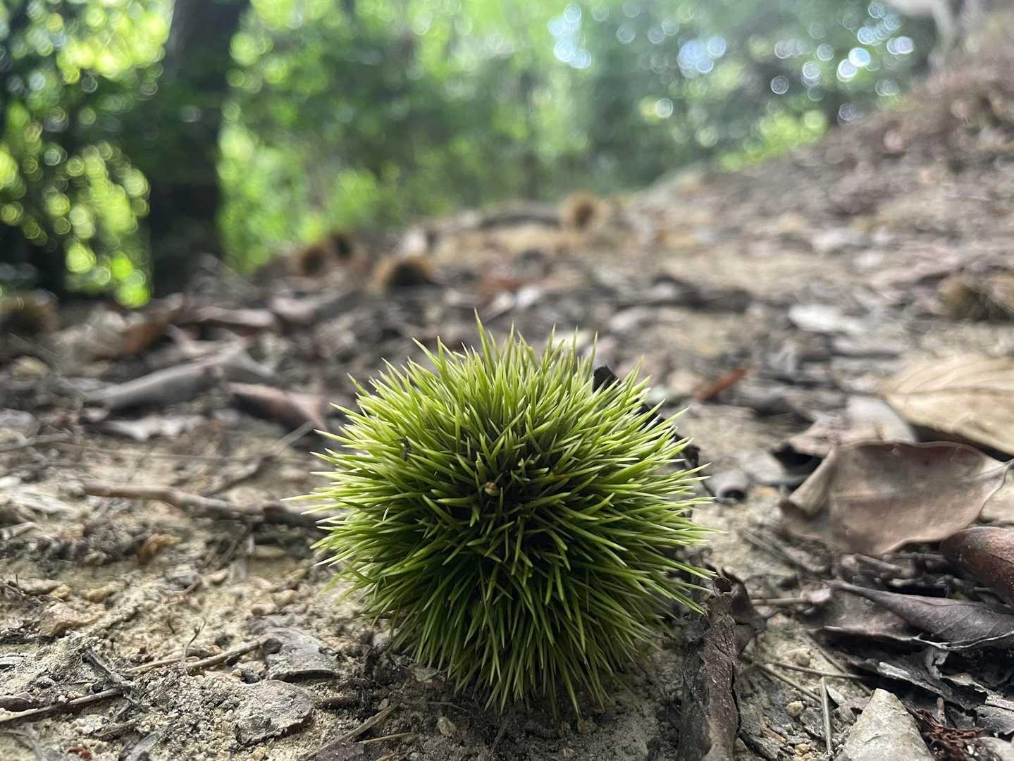 もう秋もすぐそこ？だけど暑い🥵