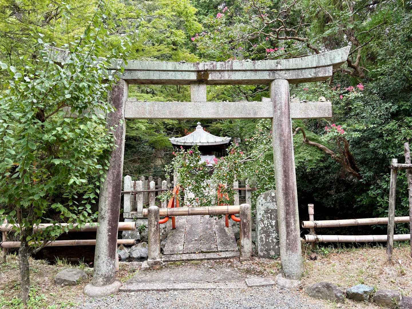 酒解神社-天王山 往復コースの写真