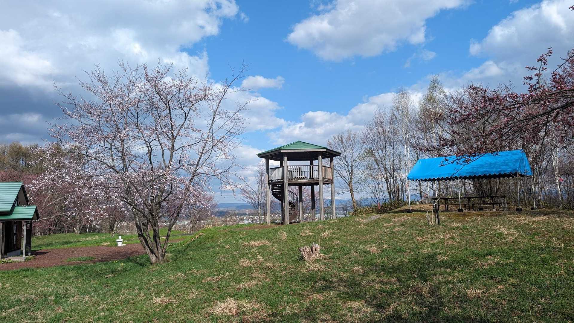 村上山
