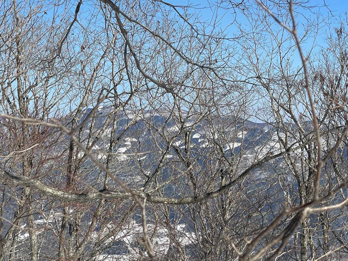 木の隙間から、蘇武岳が見えます👀