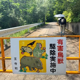 悪い目してます(笑)