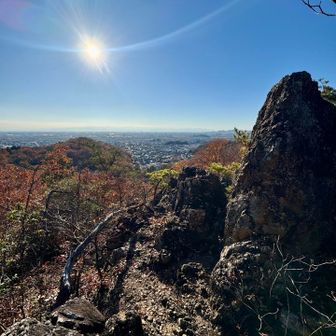 足利のお山は見晴らし良い✨
富士山は霞んで見えず🗻