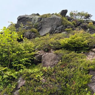 中四阿の岩🪨