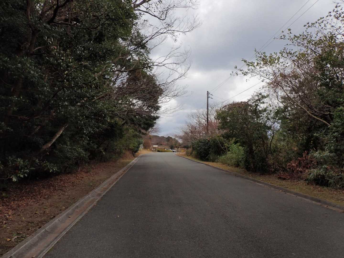 ゴール🏁