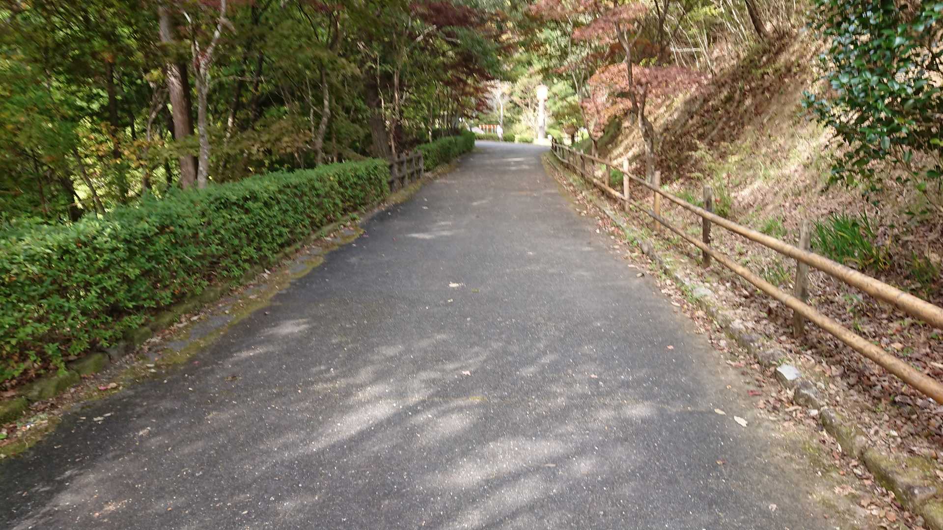 始めは塗装路。