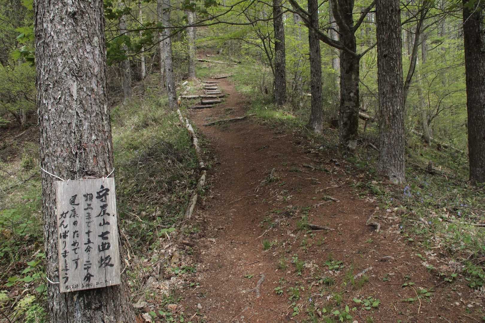 守屋山 往復コースの写真