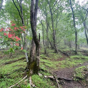 京塚山手前　ここから徐々に傾斜がキツくなってきます