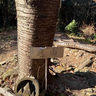 山頂プレート。
脇にいつもの三角点木標が無惨に転がる…