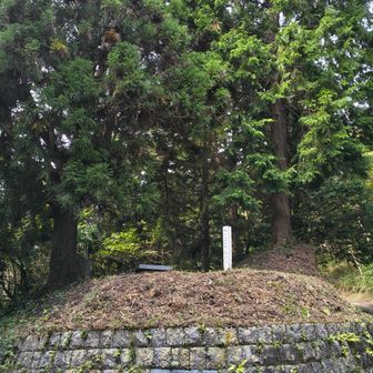 一本杉峠
正面の登山道は東に下山してしまうので間違いです。アスファルトの車道を少し西に行ったところに正しい登山道入り口があります