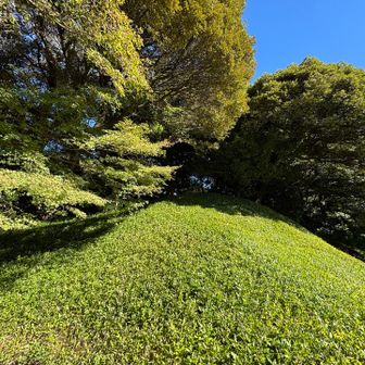 こっちは少し丘