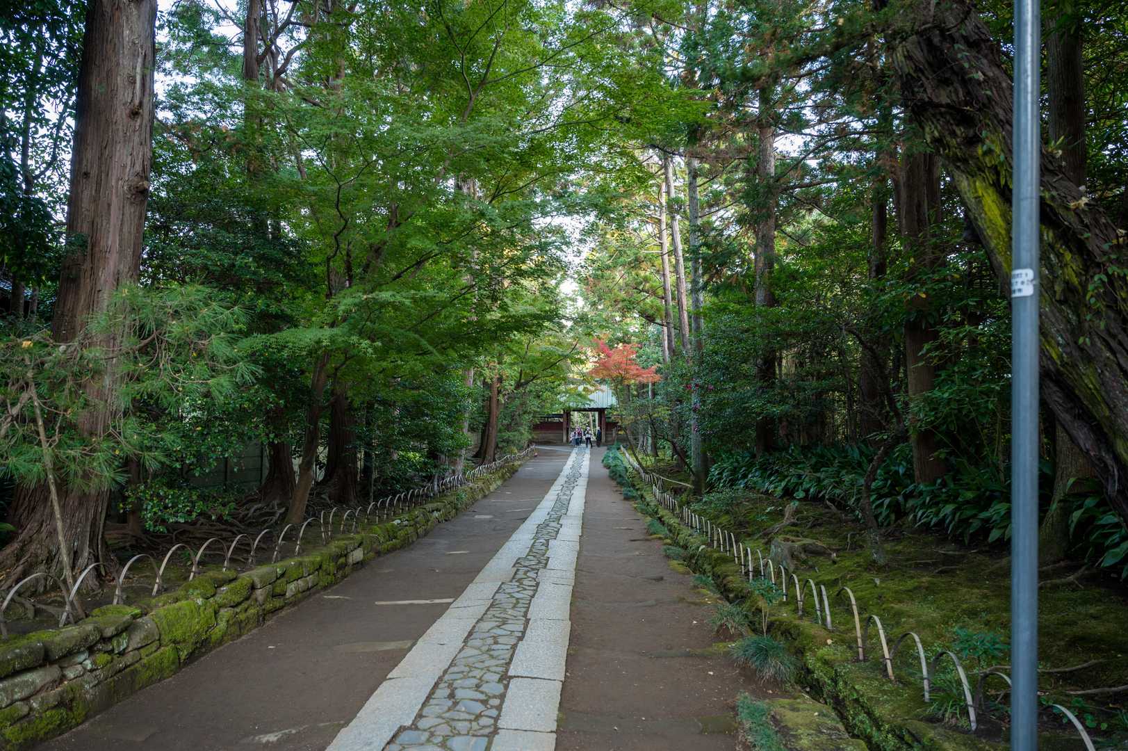 北鎌倉駅-源氏山-鎌倉駅 縦走コースの写真