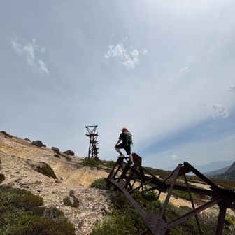 むねちゃん rep. tree