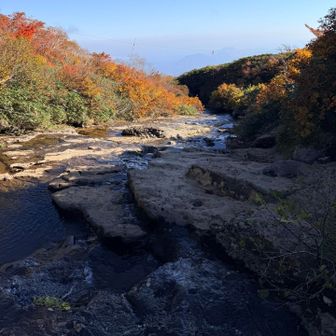水辺と紅葉