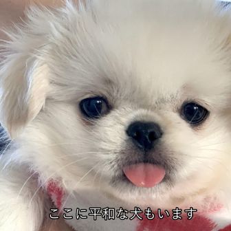かずき