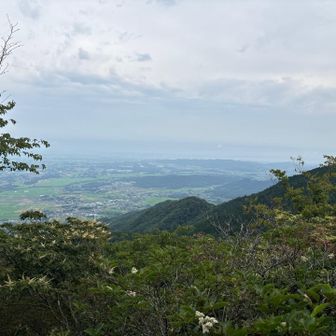 唯一の展望台