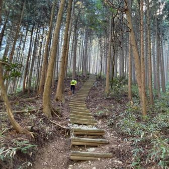 長ーい階段が続きます！