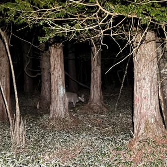 み〜た〜なぁー!!