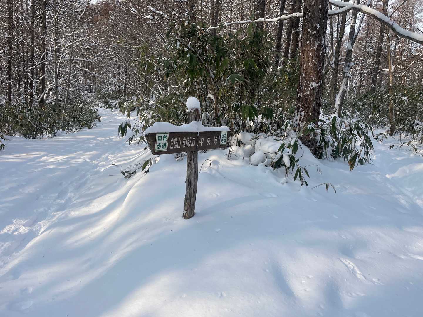 白旗山森林活用センター-月寒台-札幌台-白旗山 周回コースの写真